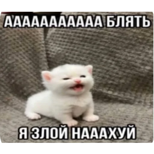 Стикер Kiski8269 - 1