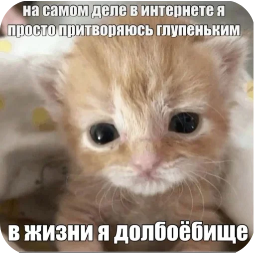 Sticker Kiski8269 - 1