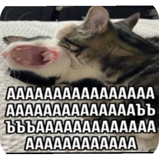 Sticker Kiski8269 - 1