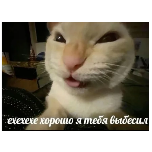 Sticker Kiski8269 - 1