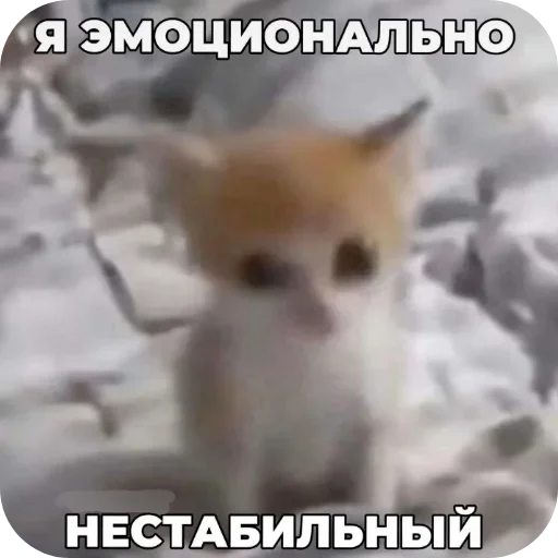 Sticker Kiski8269 - 1