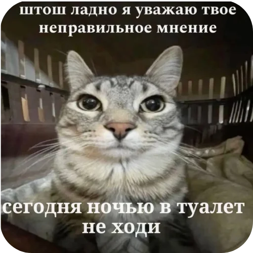 Sticker Kiski8269 - 1