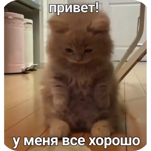 Sticker Kiski8269 - 1