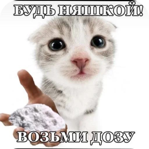 Стикер Kiski8269 - 1