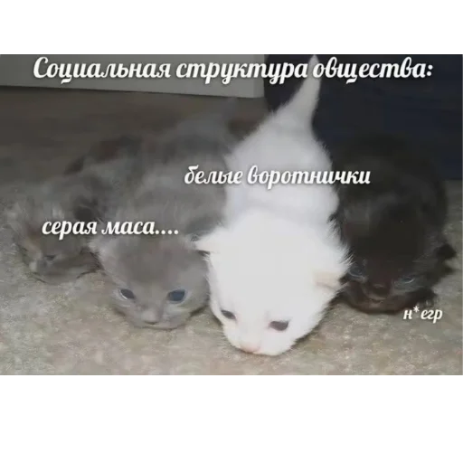 Стикер Kiski8269 - 1