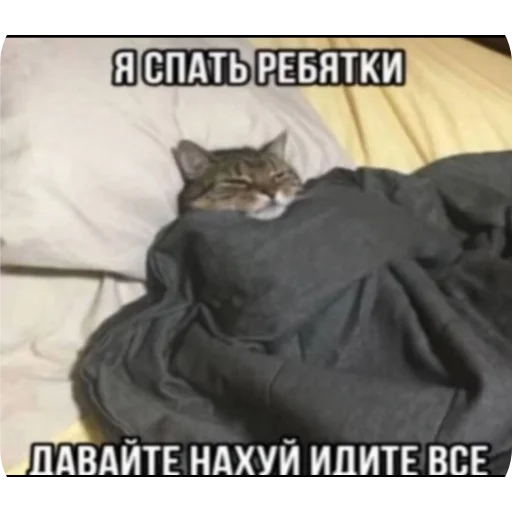 Sticker Kiski8269 - 1