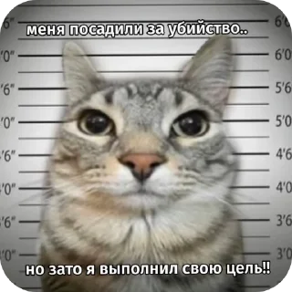 Sticker Киски - 3