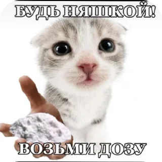 Sticker Киски - 8