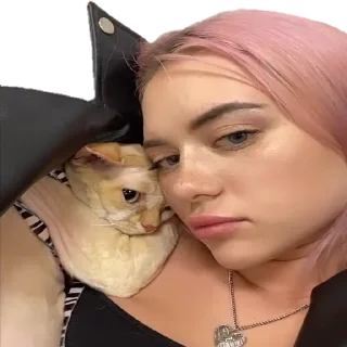 Sticker Кис-кис сука - 1