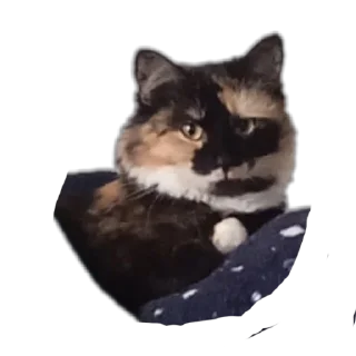 Стикер Kisska - 1