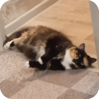 Стикер Kisska - 5