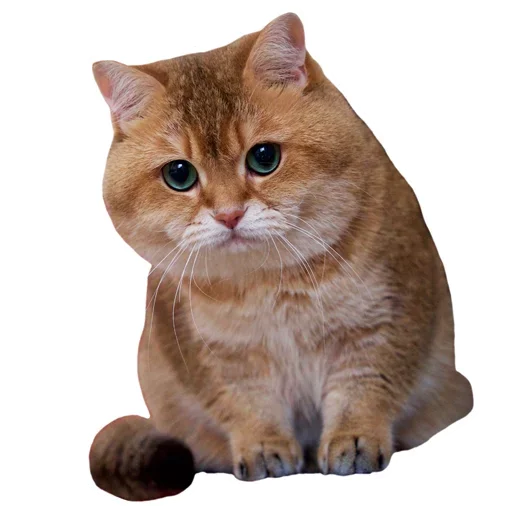 Стикер KisulkiSpaCk - 1