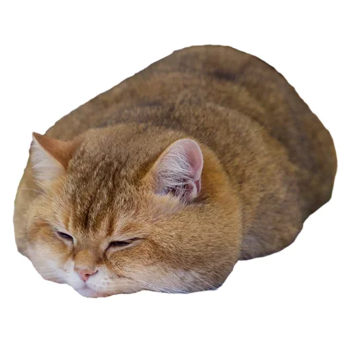 Sticker KisulkiSpaCk - 1