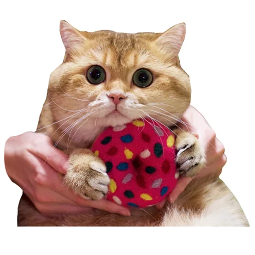 Sticker KisulkiSpaCk - 1