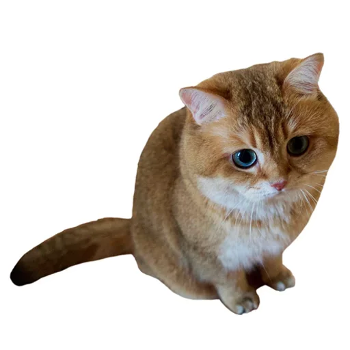 Sticker KisulkiSpaCk - 1