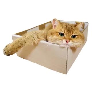 Sticker Cats @stickersb2b - 3