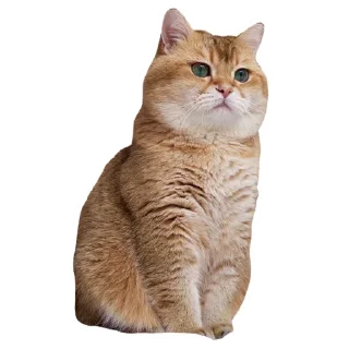 Sticker Cats @stickersb2b - 9