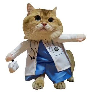 Sticker Cats @stickersb2b - 4