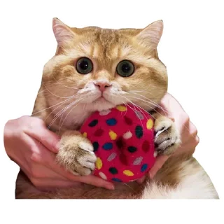 Sticker Cats @stickersb2b - 11