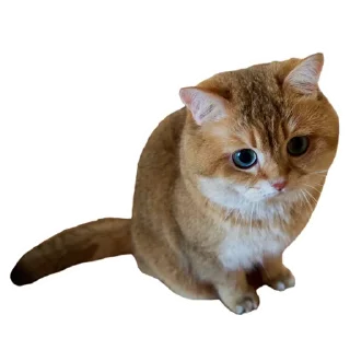 Sticker Cats @stickersb2b - 5