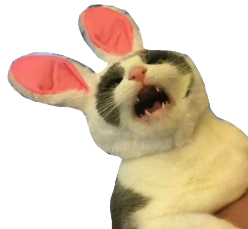 Стикер KisulkinStickers - 1