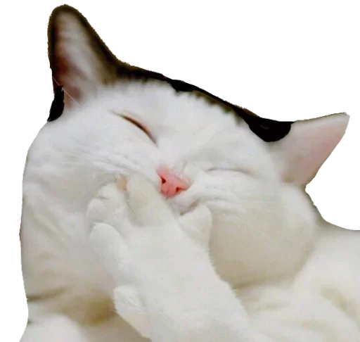 Sticker KisulkinStickers - 1