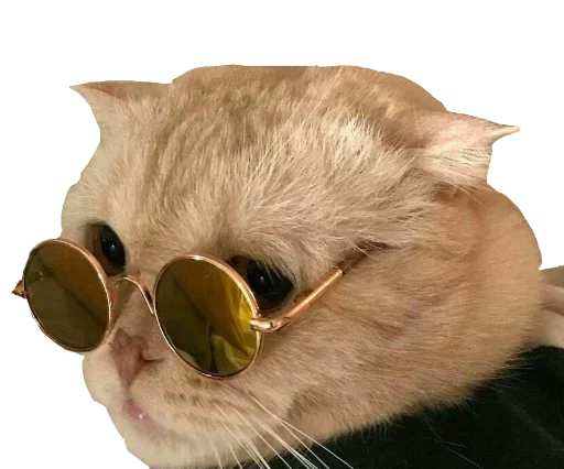 Стикер KisulkinStickers - 1