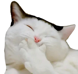 Sticker Кисулькен - 5