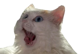 Sticker Кисулькен - 4