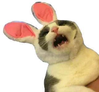 Sticker Кисулькен - 7