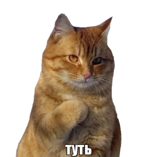 Sticker Хоббит - 4