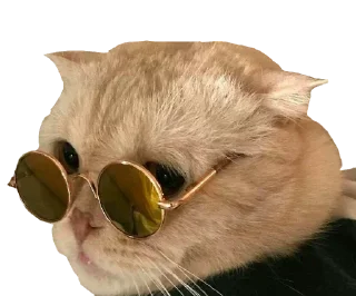 Sticker Кисулькен - 1