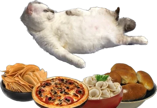 Sticker Kisunya_the_cat_Queen - 1