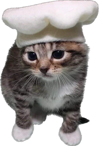 Sticker Kisunya_the_cat_Queen - 1