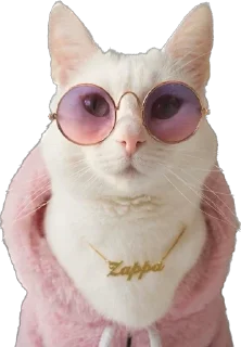 Sticker Kisunya_the_cat_Queen - 11