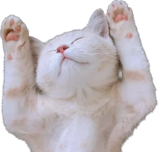 Sticker Kisunya_the_cat_Queen - 8