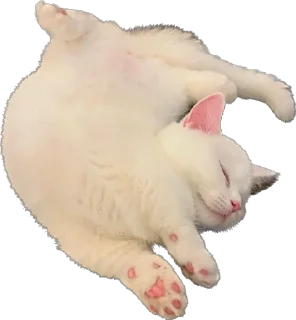 Sticker Kisunya_the_cat_Queen - 5