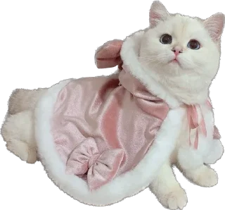 Sticker Kisunya_the_cat_Queen - 6