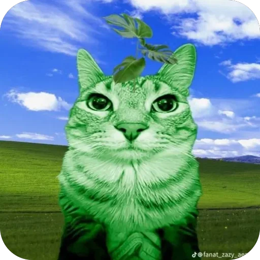 Стикер Kit8816 - 1