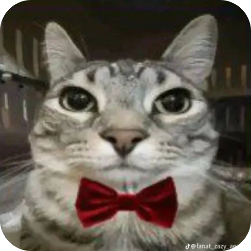 Стикер Kit8816 - 1