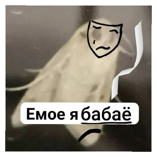 Sticker Kitajcy348 - 1