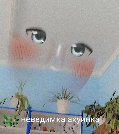 растение стена комнатный