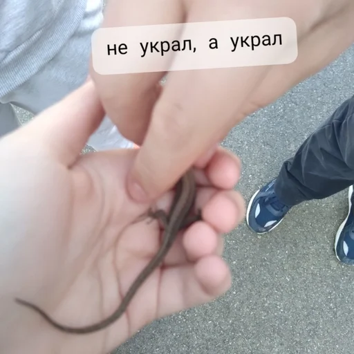 Человек обувь пресмыкающееся