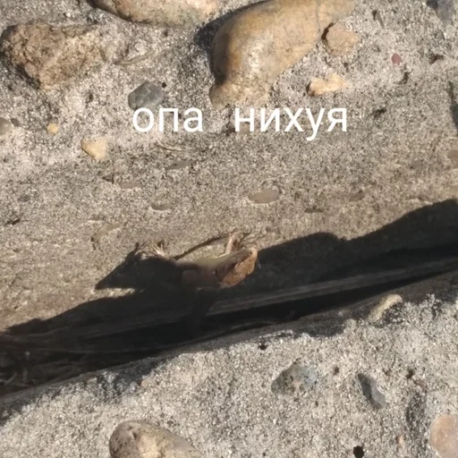 земля на открытом воздухе скала