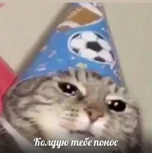 Стикер Котики :: @fStikBot - 5