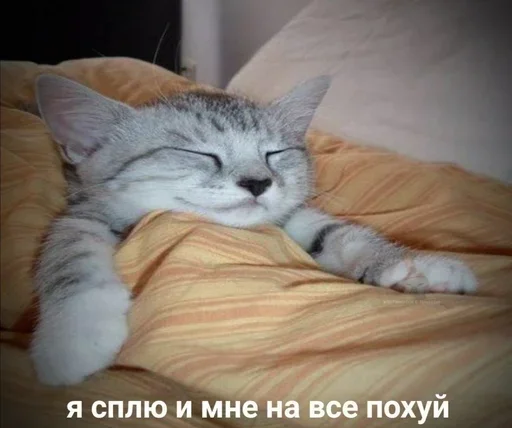 Стикер Котики :: @fStikBot - 1