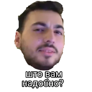 Sticker КОТОБЫРЫ - 4