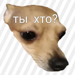 Sticker КОТОБЫРЫ - 9