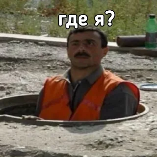 Sticker КОТОБЫРЫ - 7