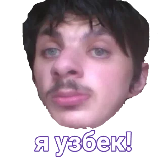 Sticker КОТОБЫРЫ - 0